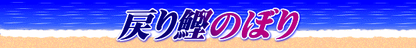 戻り鰹のぼり