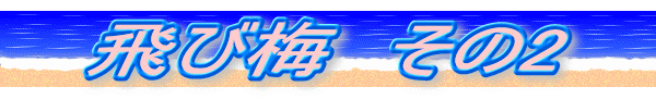 飛び梅　その2