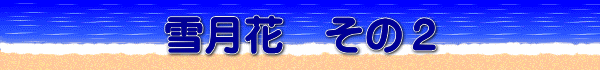 雪月花　その２